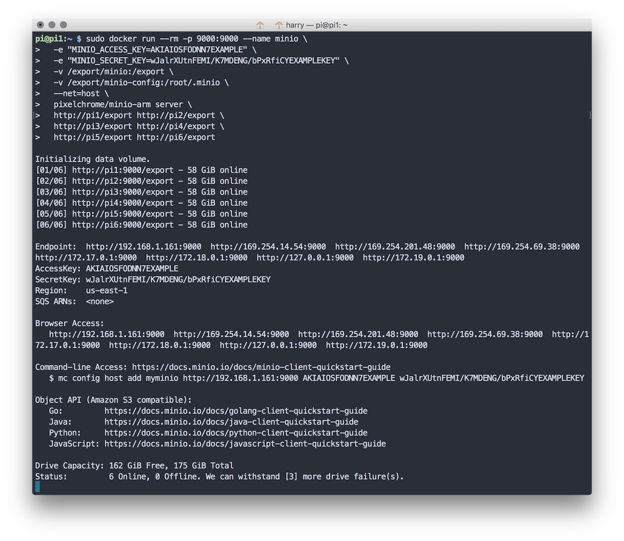 Distributed Minio Docker Screenshot